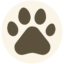 petbuddy.hu favicon