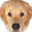 petsloveparadise.com