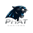 phatcustoms.com.au favicon