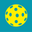 pickleballdinkdinksmash.com favicon
