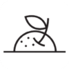 premium-fruit.co.th favicon