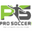 prosoccerteamstore.com favicon