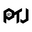 ptjshoes.com