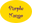 purplemangokids.com