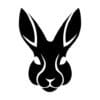 rabbit-labs.com favicon
