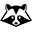 racoon-lab.it favicon
