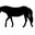 ranchlifenaturals.com