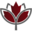 redleafapothecary.com favicon