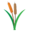 reednaturals.co.ke favicon