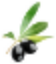 saladooliveoilco.com favicon
