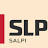 salpislp.ru favicon