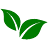 saygreen.ru favicon