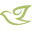 selahorganics.com favicon
