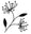 sgfloralmarket.com