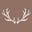 shopivorybuck.com favicon