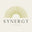 shopsynergystudio.com favicon