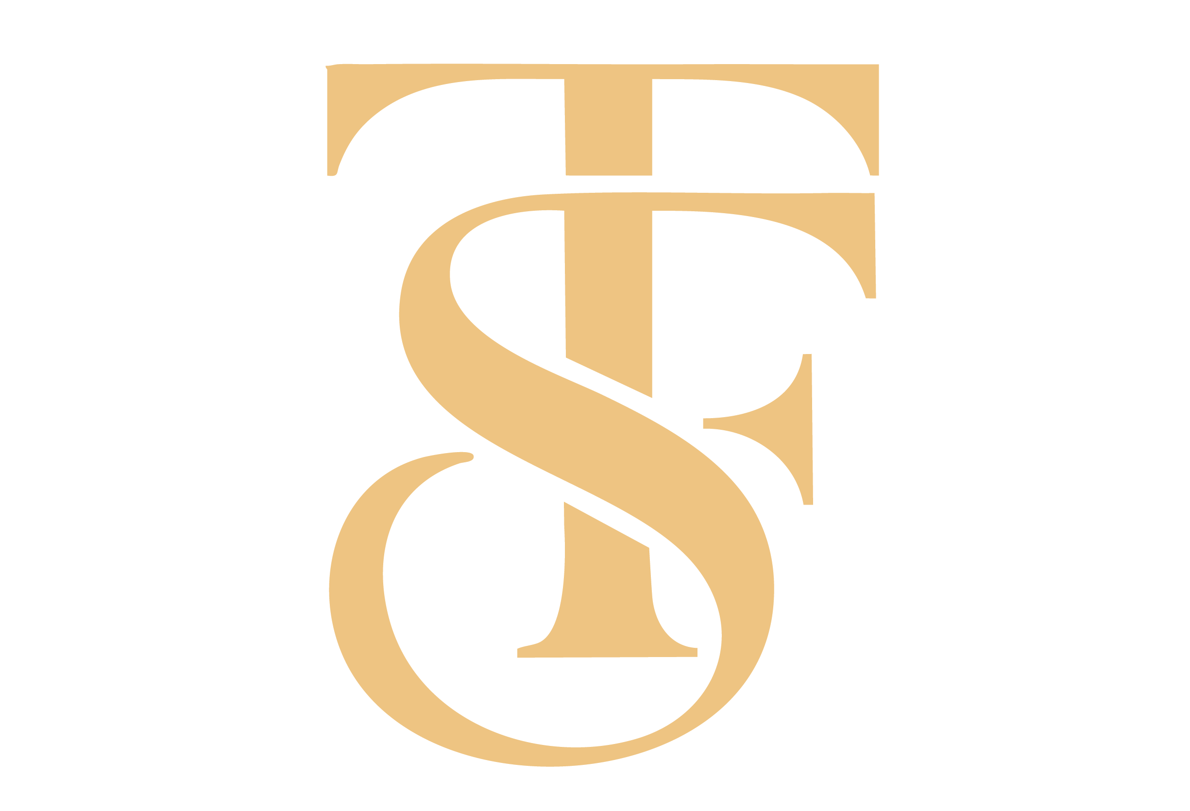 shopteefashion.com favicon