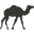 summerlandcamels.com.au
