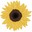 sunflower1920.com.co favicon