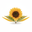 sunflowershinedecor.shop favicon