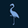 tailorbyrd.com favicon