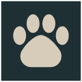 tavopets.com favicon