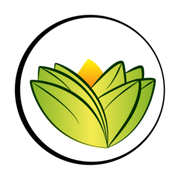 theayurvedaexperience.eu favicon