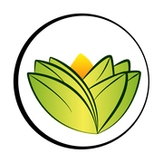 theayurvedaexperience.it favicon