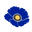 thebluepoppyproject.com