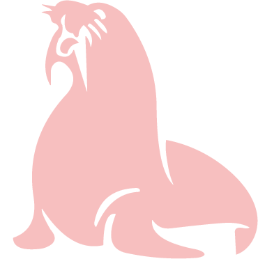 thechocolatewalrus.com favicon
