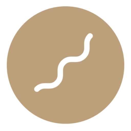 theflowstudio.co favicon