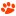 thekittenpark.com favicon