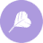 theplumes.ae favicon