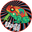 thepsychedelictoad.com