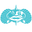 toadfish.com