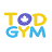 todgym.com favicon