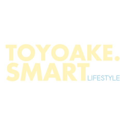 toyoakesmartlifestyle.com favicon