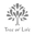 treeoflife.com.au