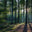 unclemikesoutdoors.ca