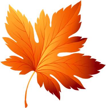 vediqueremedies.com favicon