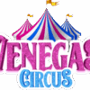 venegascircus.com.br favicon