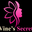 vinessecret.com
