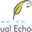 visualechoes.in favicon