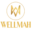 wellmah.com favicon