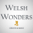 welshwonders.cymru favicon