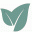 whiteleafboutique.com favicon