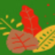 wholyvegan.com favicon