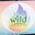 wildcandles.com