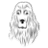 wildwoolly.au favicon