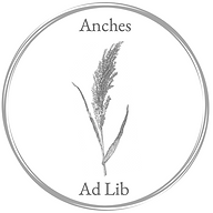 www.anchesadlib.com favicon